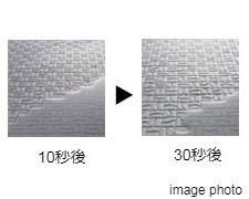 Brillia 小日向一丁目 　Sanitary　水周り　カラリ床