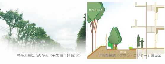 Brillia 成増 Season Terrace 自然散策路「グラン・コリドー」