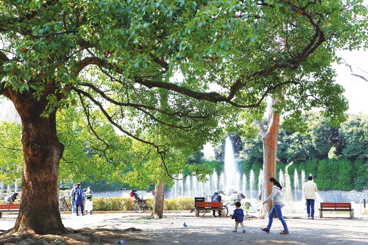 Brillia 北浦和　公園・文化施設