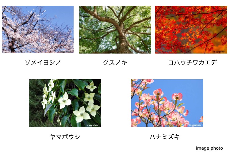 Brillia 上野 Garden　上野の街に潤いを与える植栽