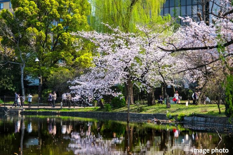 Brillia 上野 Garden　Location　生活便　公園・神社・自然