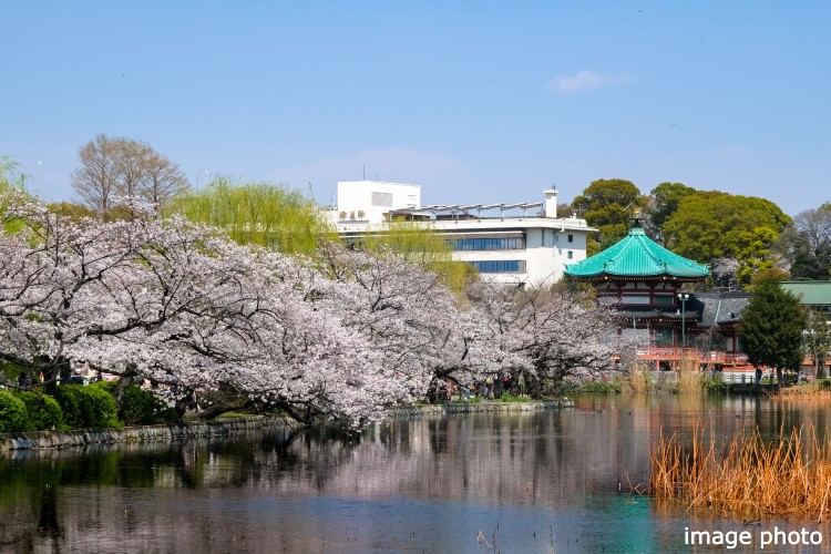 Brillia 上野 Place 国内外から注目を浴びる上野