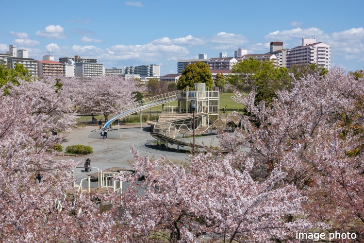 Brillia 大島　「大島小松川公園」まで　徒歩15分