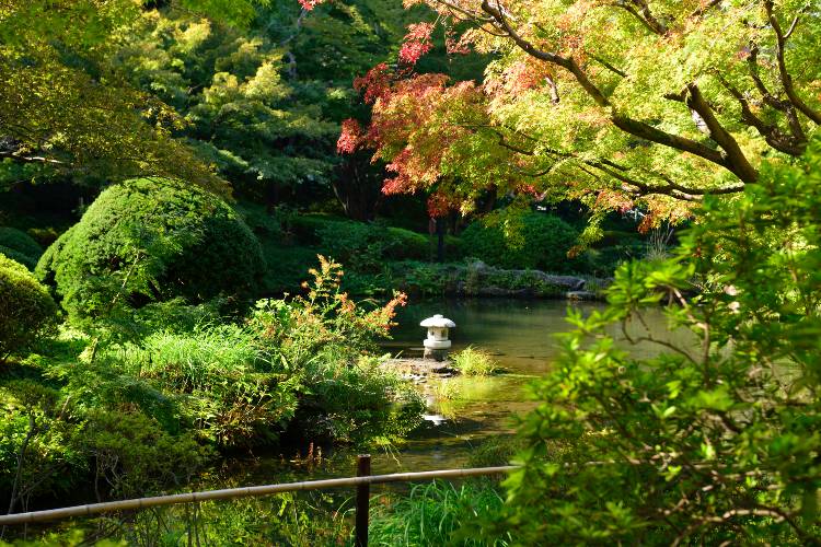 Brillia City 西早稲田　甘泉園公園