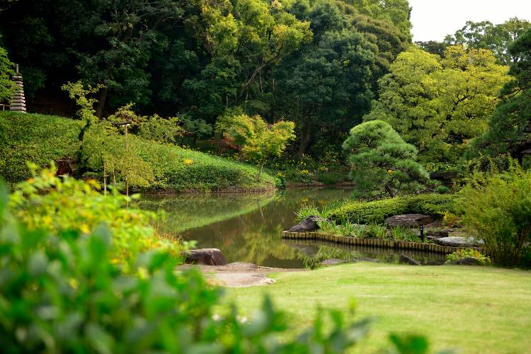 Brillia City 西早稲田　肥後細川庭園