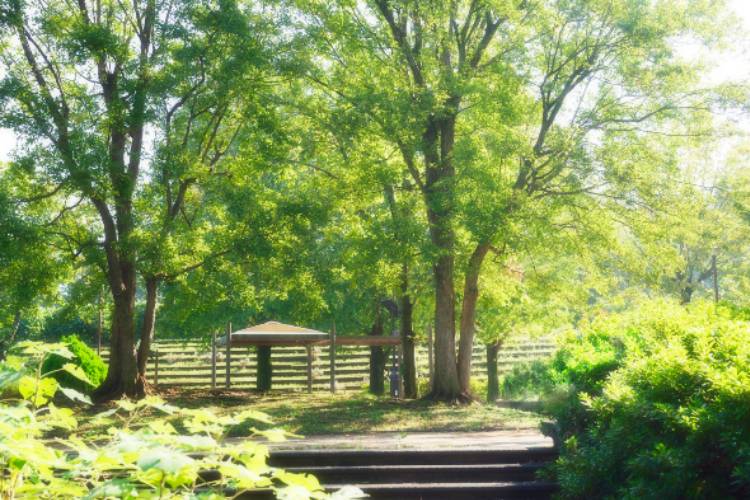 Brillia City 西早稲田　戸山公園