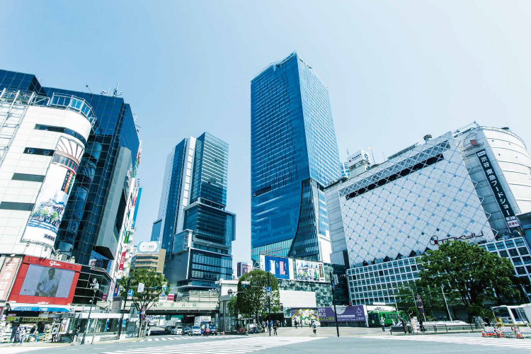 Brillia 目黒青葉台　刺激と穏やかさが共存する場所