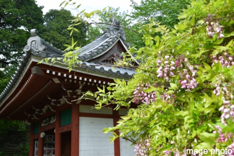 Brillia Tower 池袋 West　LIFE　文化・レジャー施設　祥雲寺