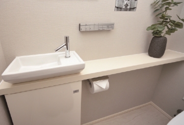 Brillia Tower 有明 MID CROSS　Powder Room & Lavatory　手洗いカウンター