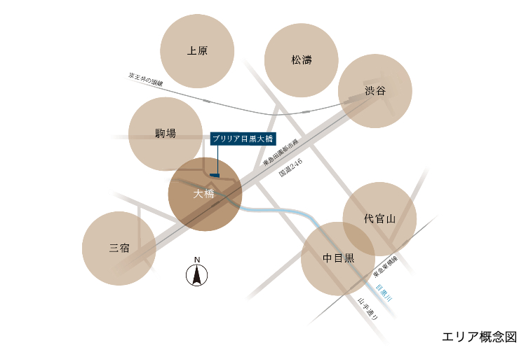 Brillia 目黒大橋　 Location　生活便　教育施設が集中する駒場・大橋エリア