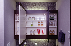 Brillia 新宿余丁町 　Powder Room　浴室・洗面・トイレ　三面鏡付洗面化粧台