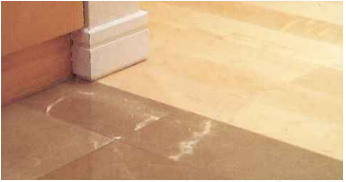 Brillia 六義園 　フルフラットフロア