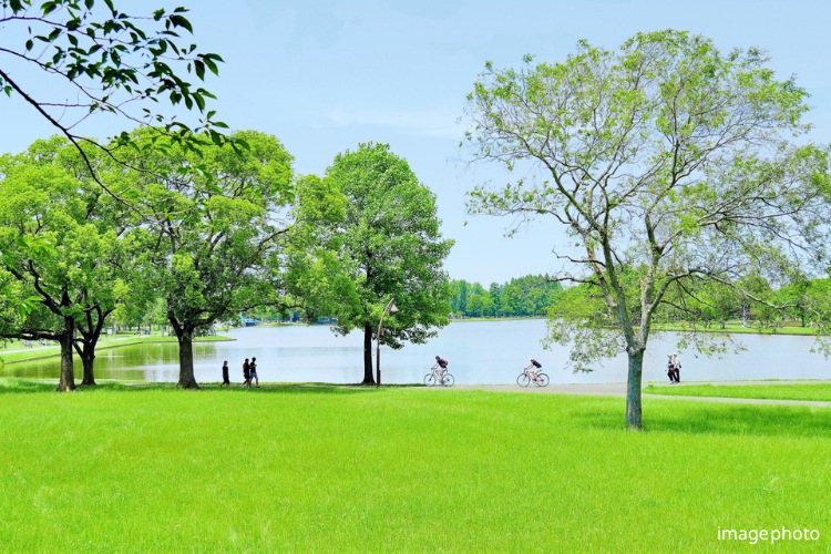 Brillia 志木 Garden　公園・スポーツ施設