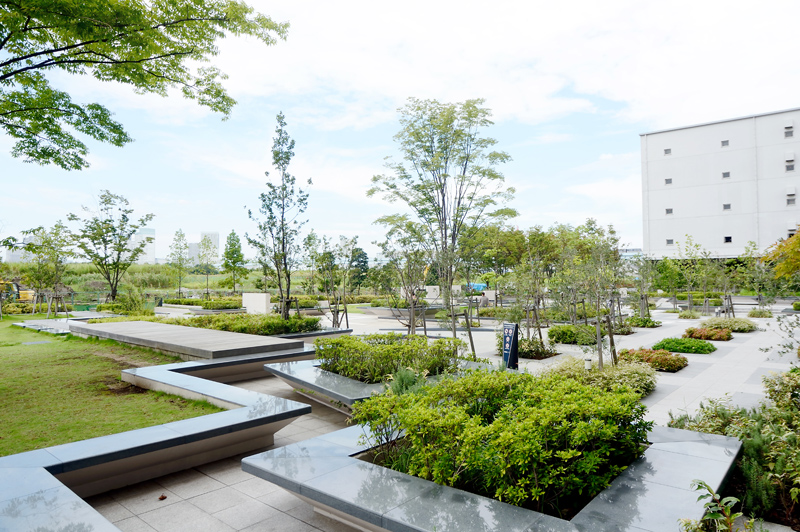 Brillia Mare 有明 TOWER&GARDEN　その他の画像