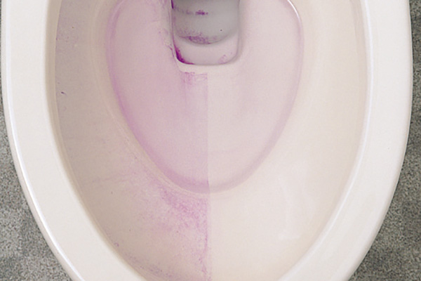 Brillia 大島小松川公園　Sanitary　水まわり　セフィオン加工トイレ