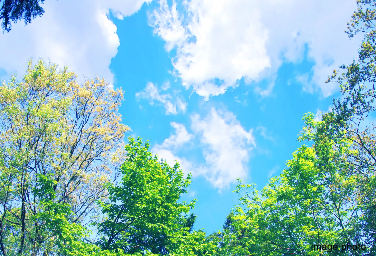 Brillia 稲毛海浜公園 　グリーンテラス