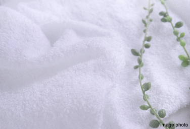 Brillia 稲毛海浜公園  Powder Room 洗面・トイレ ランドリーボックス