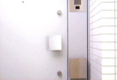 Brillia 稲毛海浜公園  Others サイドパネル付玄関扉