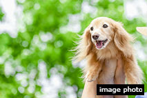 Brillia 稲毛 　ペット足洗い場