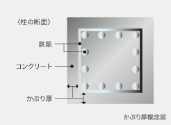 Brillia 砧公園 　Structure　構造　コンクリートかぶり厚