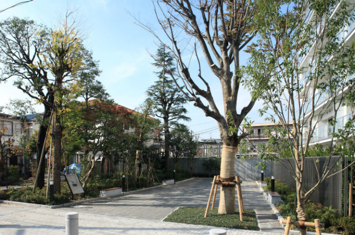Brillia 砧公園 　植栽