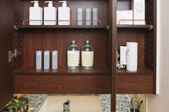 Brillia 武蔵小杉 　Sanitary　サニタリー　三面鏡裏収納