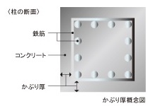 Brillia 宮前平　Structure　構造　コンクリートのかぶり厚