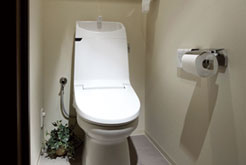 Brillia 日本橋人形町 　Sanitary　水回り　温水洗浄機能付き便座