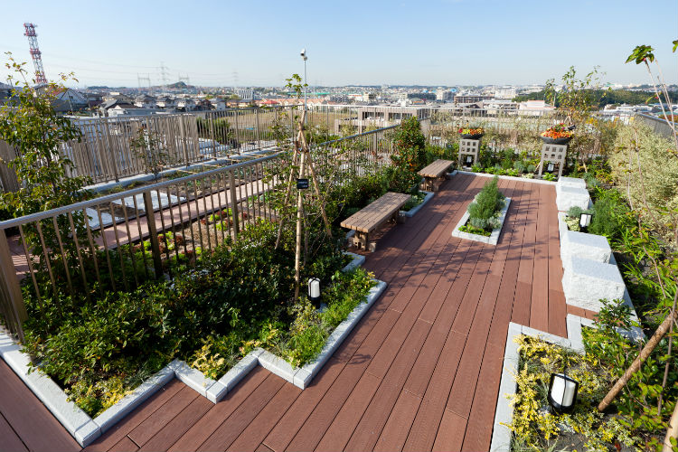 Brillia 青葉荏田　緑の中に緑の邸宅　スカイテラス