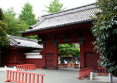 Brillia WELLITH 文京千駄木　文の京