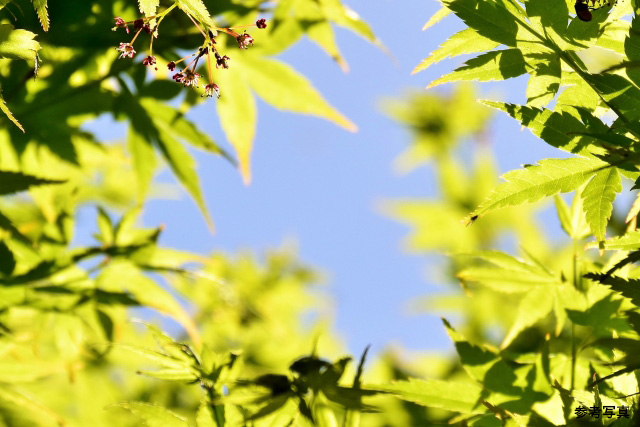 Brillia WELLITH 文京千駄木　陽光と潤い