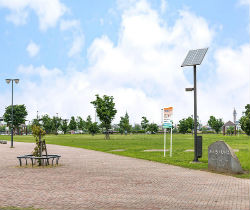 Brillia 越谷レイクタウン 　水の整備で生まれた安心と憩い　緑あふれる公園が随所に