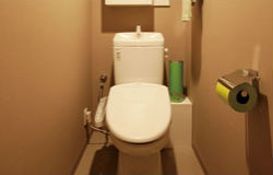 Brillia 越谷レイクタウン 　節水型トイレ