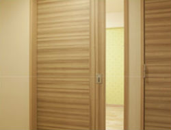 Brillia 越谷レイクタウン 　引戸