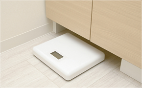 Brillia e-SQUARE 　Sanitary　水まわり　ヘルスメーター収納