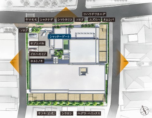 Brillia 浜田山 三方道路の立地