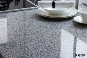 Brillia 東大前　Kitchen　キッチン　天然御影石キッチンカウンター