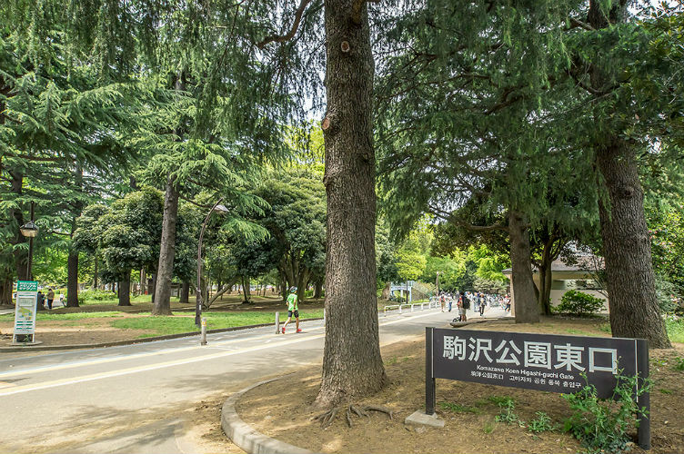 Brillia 駒沢大学　Location　生活便　公園