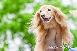 Brillia 駒沢大学　Comfortable　快適性　ペット可