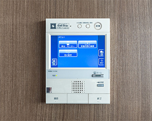 スカイズ タワー＆ガーデン　カラーモニター付インターホン