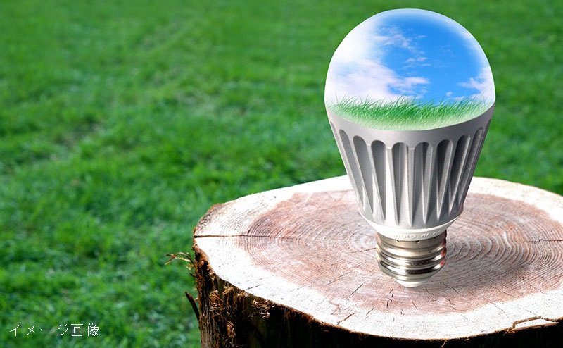 スカイズ タワー＆ガーデン　LED照明