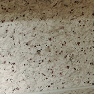 Brillia 駒込六義園　Dressing Room　洗面室　天板・前壁御影石