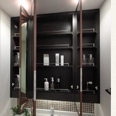 Brillia 目白台　Sanitary　水周り　三面鏡収納