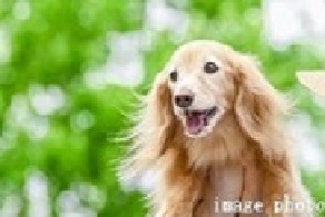 Brillia 中野 　Amenity　アメニティ　ペット飼育可