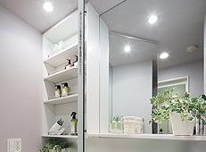 Brillia 狛江 Farm & Garden Sanitary 水周り デザイン棚付き大型ミラー収納