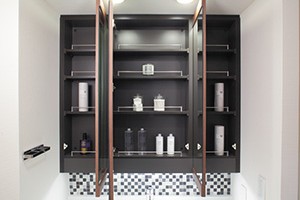 Brillia 早稲田諏訪通り Sanitary 水まわり 三面鏡裏収納