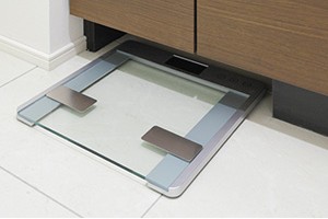 Brillia 早稲田諏訪通り Sanitary 水まわり ヘルスメータースペース