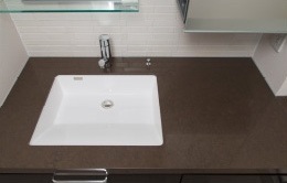 Brillia 学芸大学 Sanitary 水まわり 偏芯ボウル