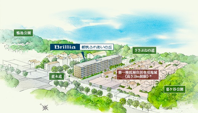 Brillia 都筑ふれあいの丘　空の広がり 緑の煌めき