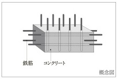 Brillia 小金井桜町　ダブル配筋(RC壁)